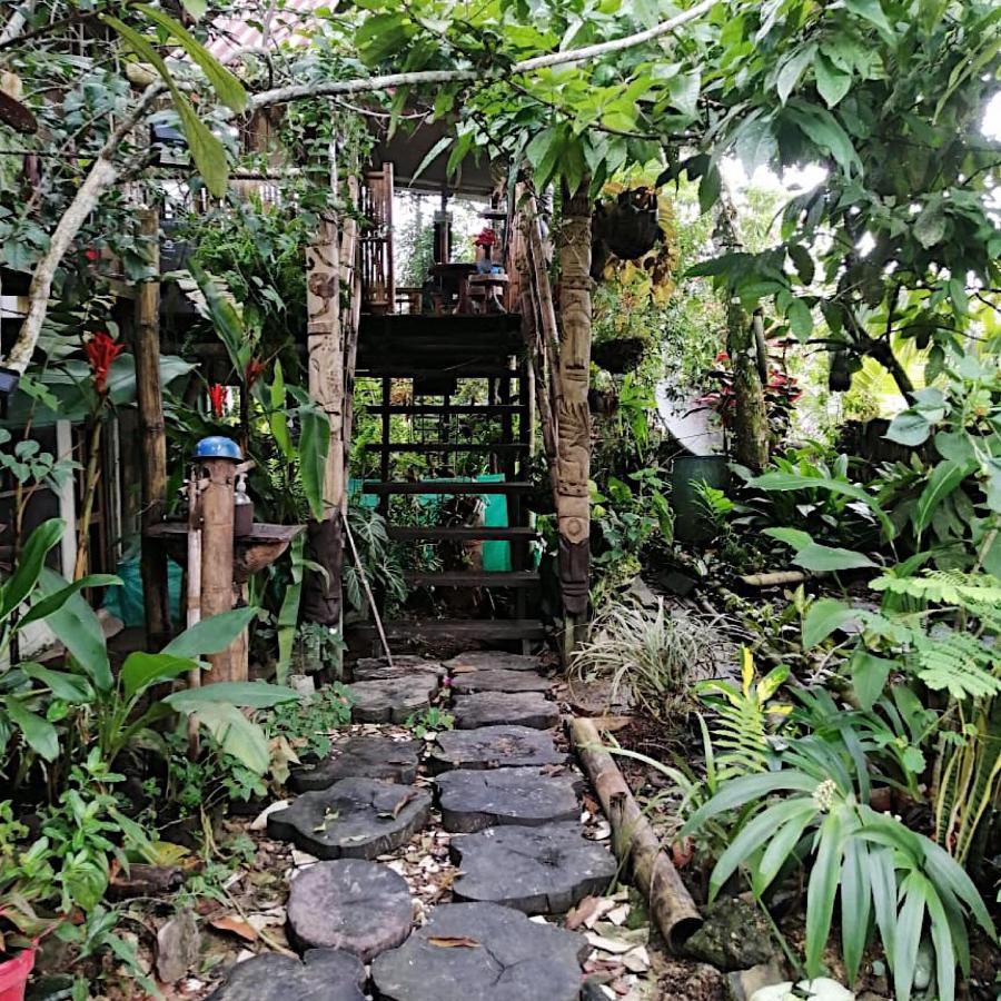 Maiku Amazonas Hotel Puerto Narino Ngoại thất bức ảnh