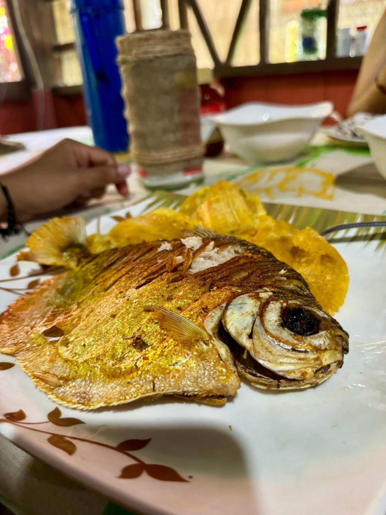 Maiku Amazonas Hotel Puerto Narino Ngoại thất bức ảnh